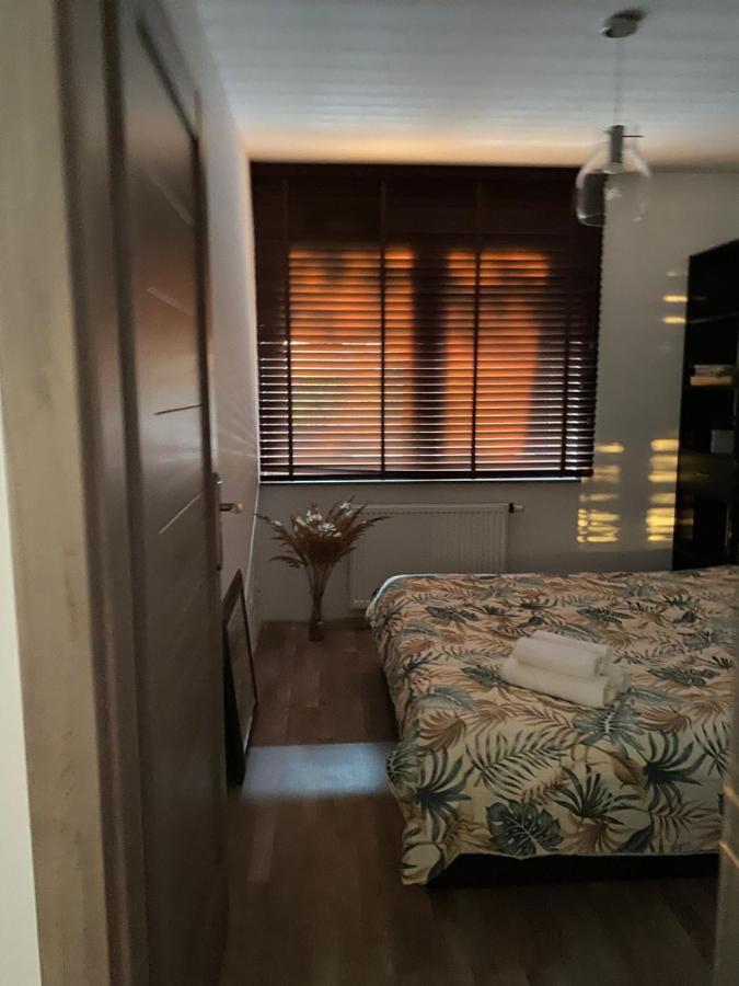 Dyrekcyjna Apartment ヴロツワフ エクステリア 写真
